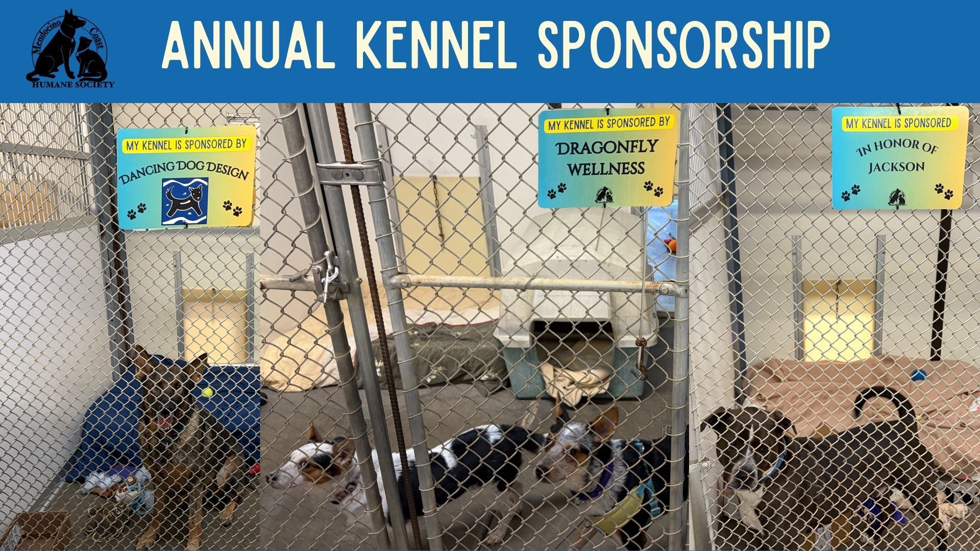 A card on a kennel indicating that it is sponsored