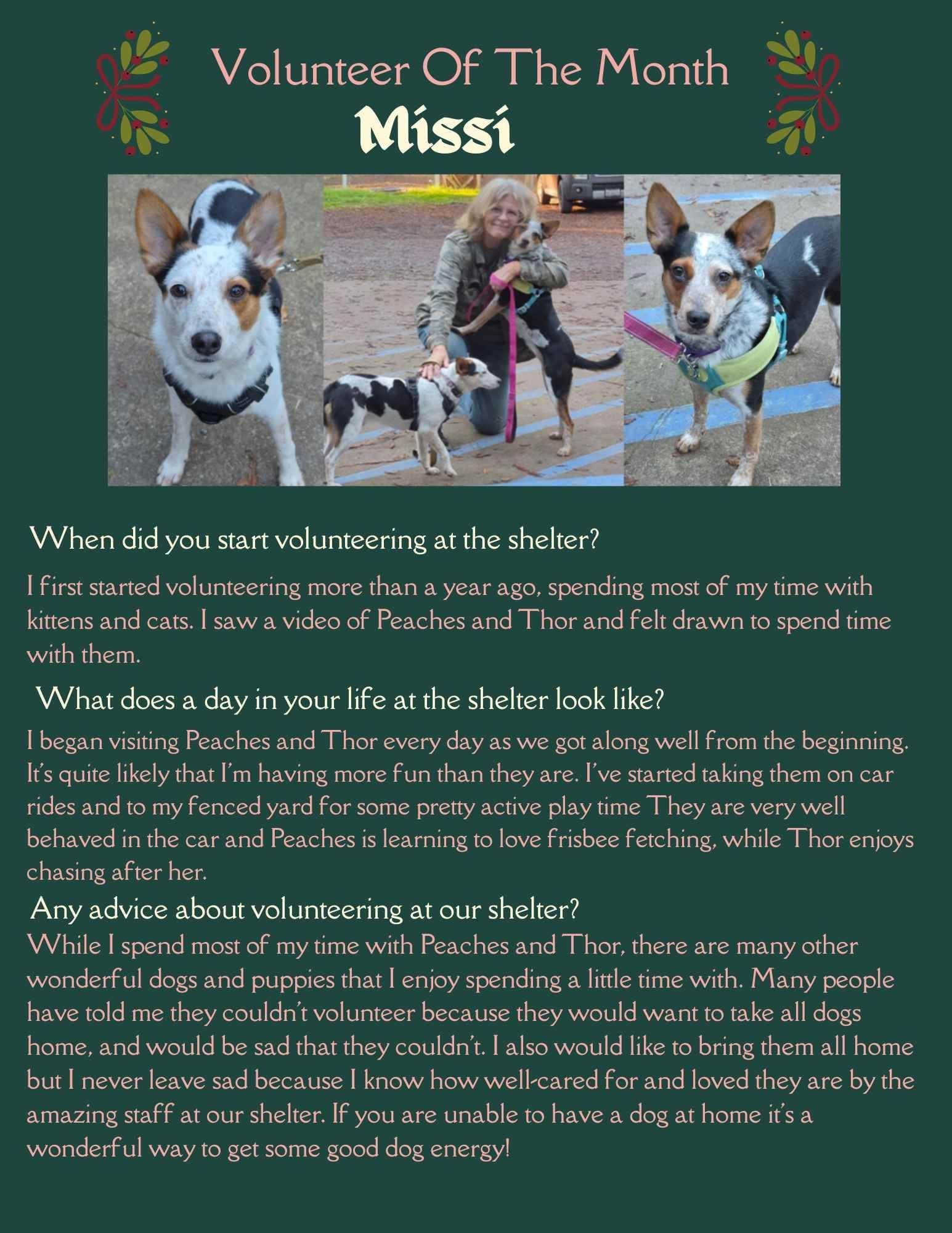 Volunteer of the Month: Missi with dog photos. Text shares her shelter volunteer experience and advice.