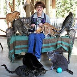 Woman sits with many cats on a porch; she’s holding food while they gather around.