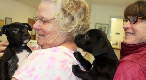 Two women smiling, holding and interacting with black puppies indoors.