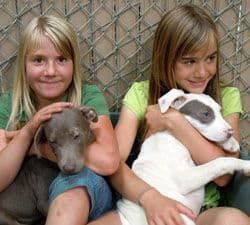 Two girls holding dogs, smiling. One dog is gray, the other white with gray markings.