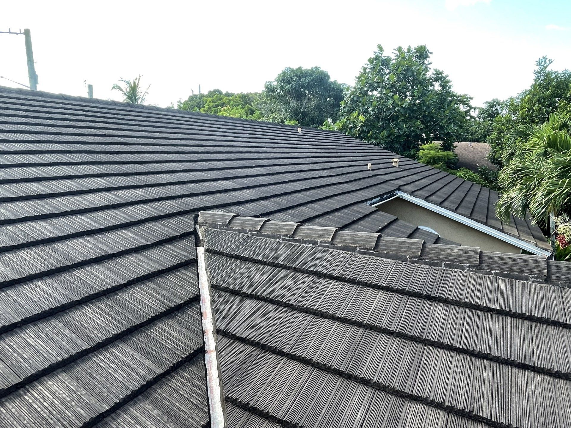 Safe and reliable roof cleaning in Orlando, Florida