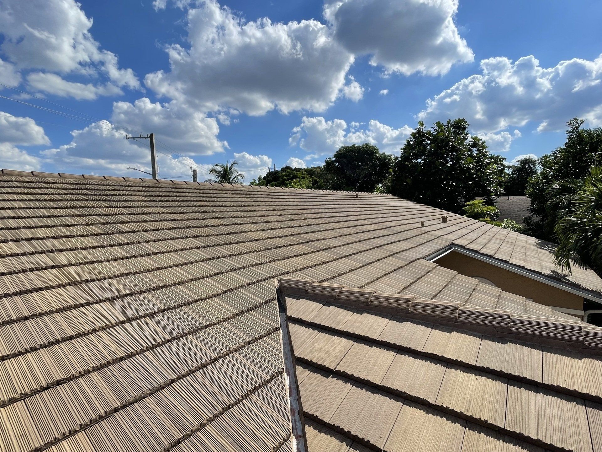Safe and reliable roof cleaning in Winter Garden, Florida