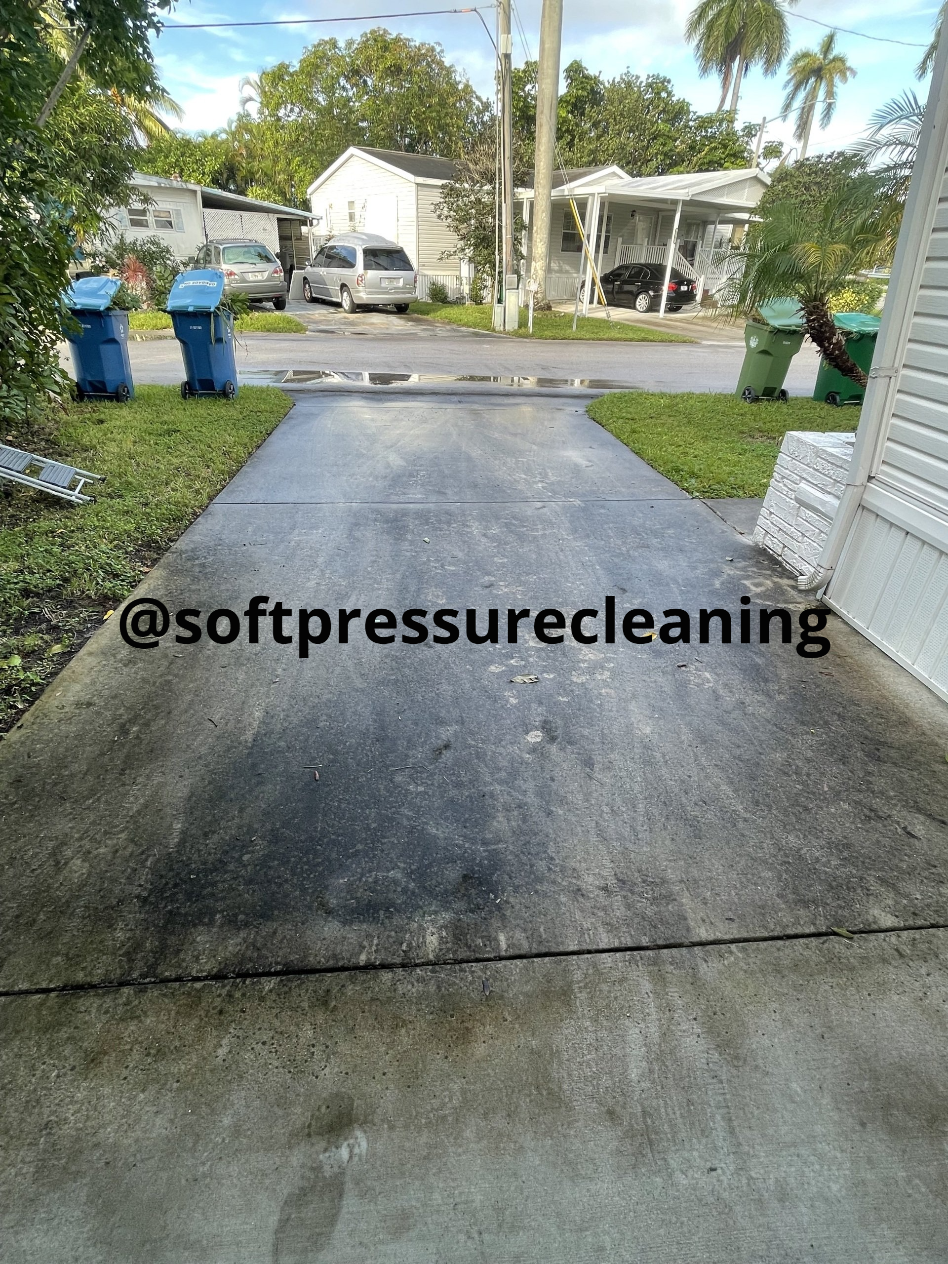 Before and after driveway cleaning showing improved curb appeal and cleanliness. (Before Picture)