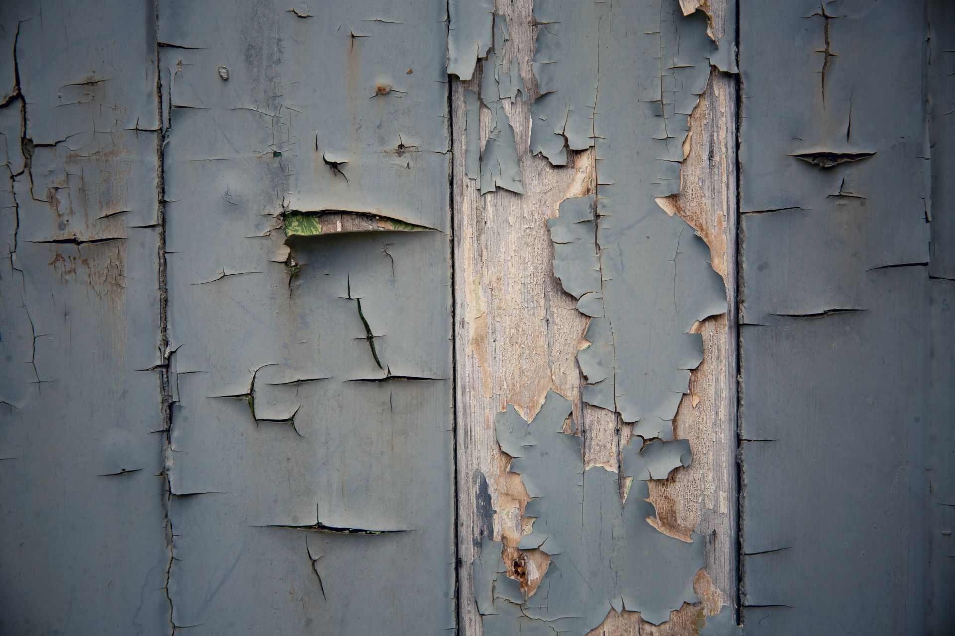 Cracked, peeling gray paint on weathered wooden planks, showing exposed wood.
