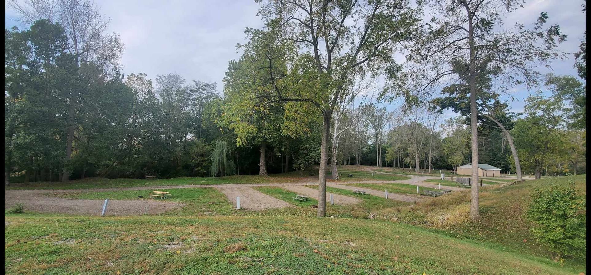 a park with a lot of trees and grass