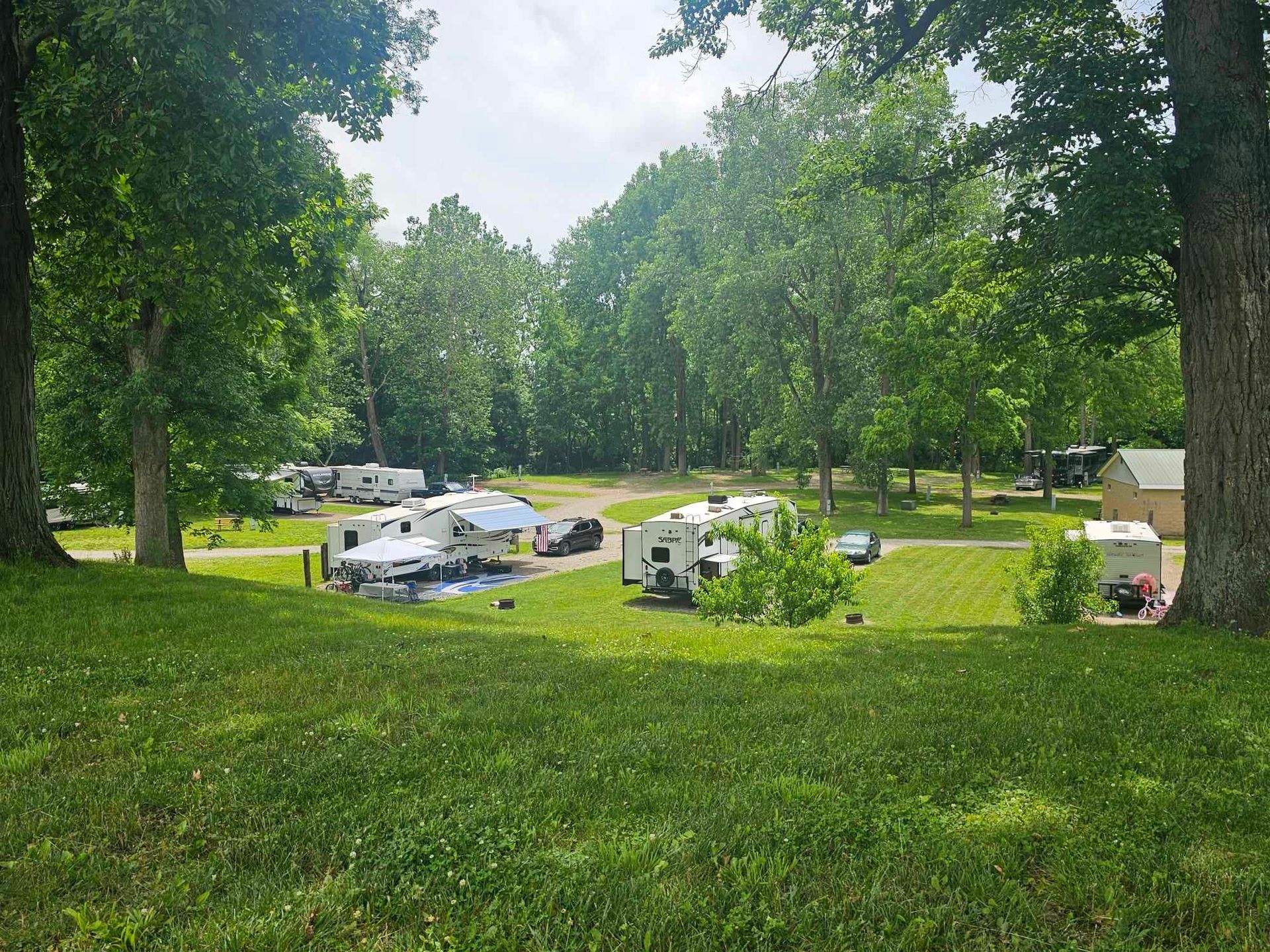 a lot of rvs are parked in a grassy area