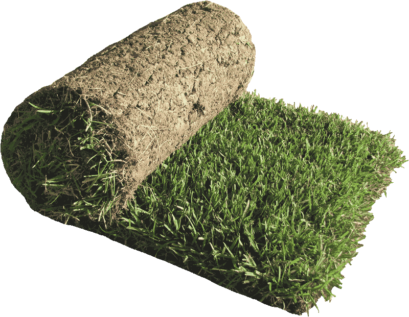 A roll of green grass on a white background