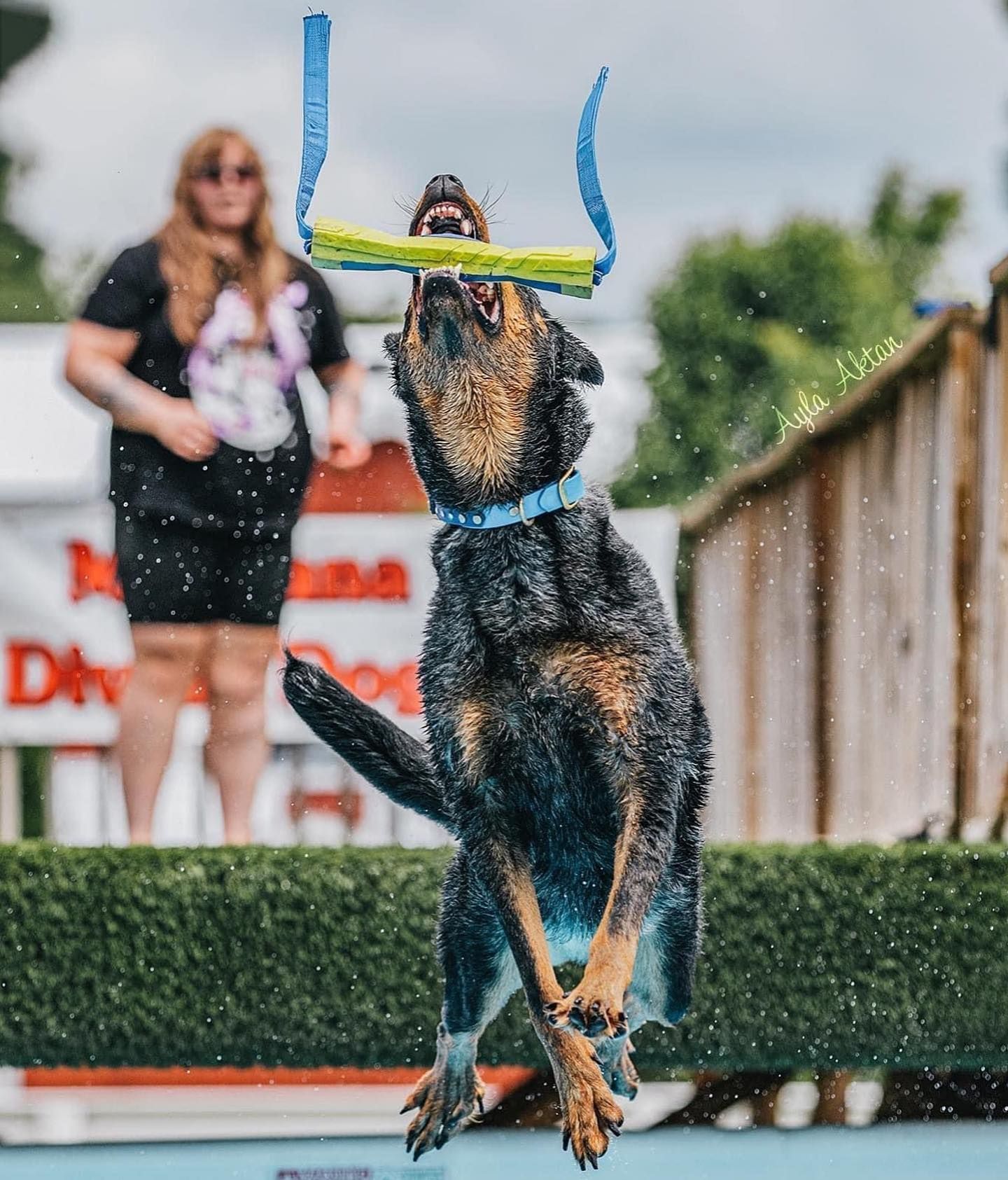 Air Retrieve — Niles, MI — Bunk & Biscuit