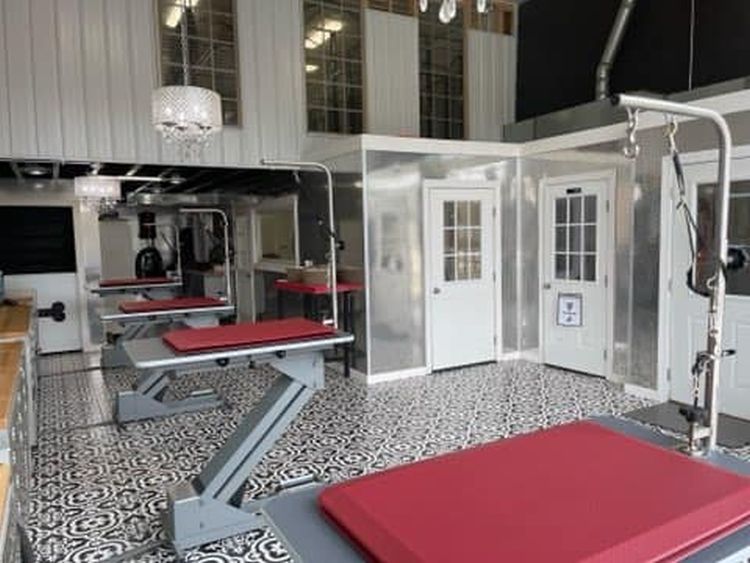 Dog grooming salon: grooming tables, white doors, checkered floor, bright.