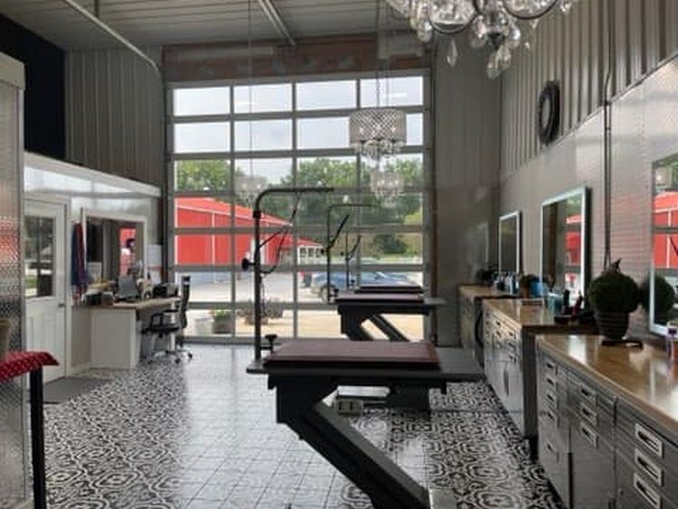 Dog grooming salon with grooming tables, windows, and a red building visible outside.