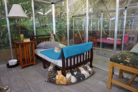 Cat Boarding Room — Niles, MI — Bunk & Biscuit