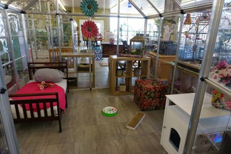 Cat Boarding — Niles, MI — Bunk & Biscuit