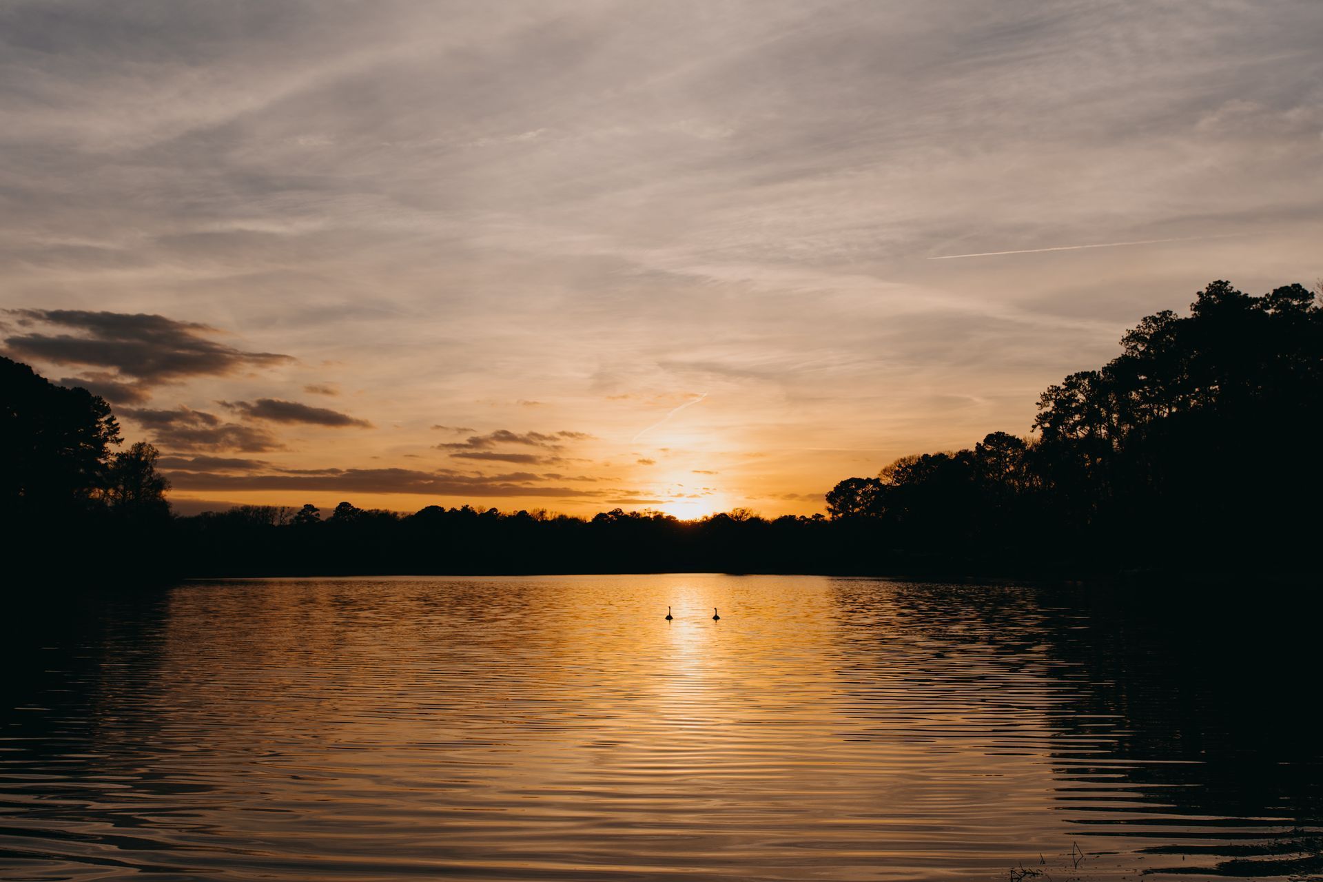 Sunset over a lake with silhouettes of trees along the shoreline; golden light reflects on the water.