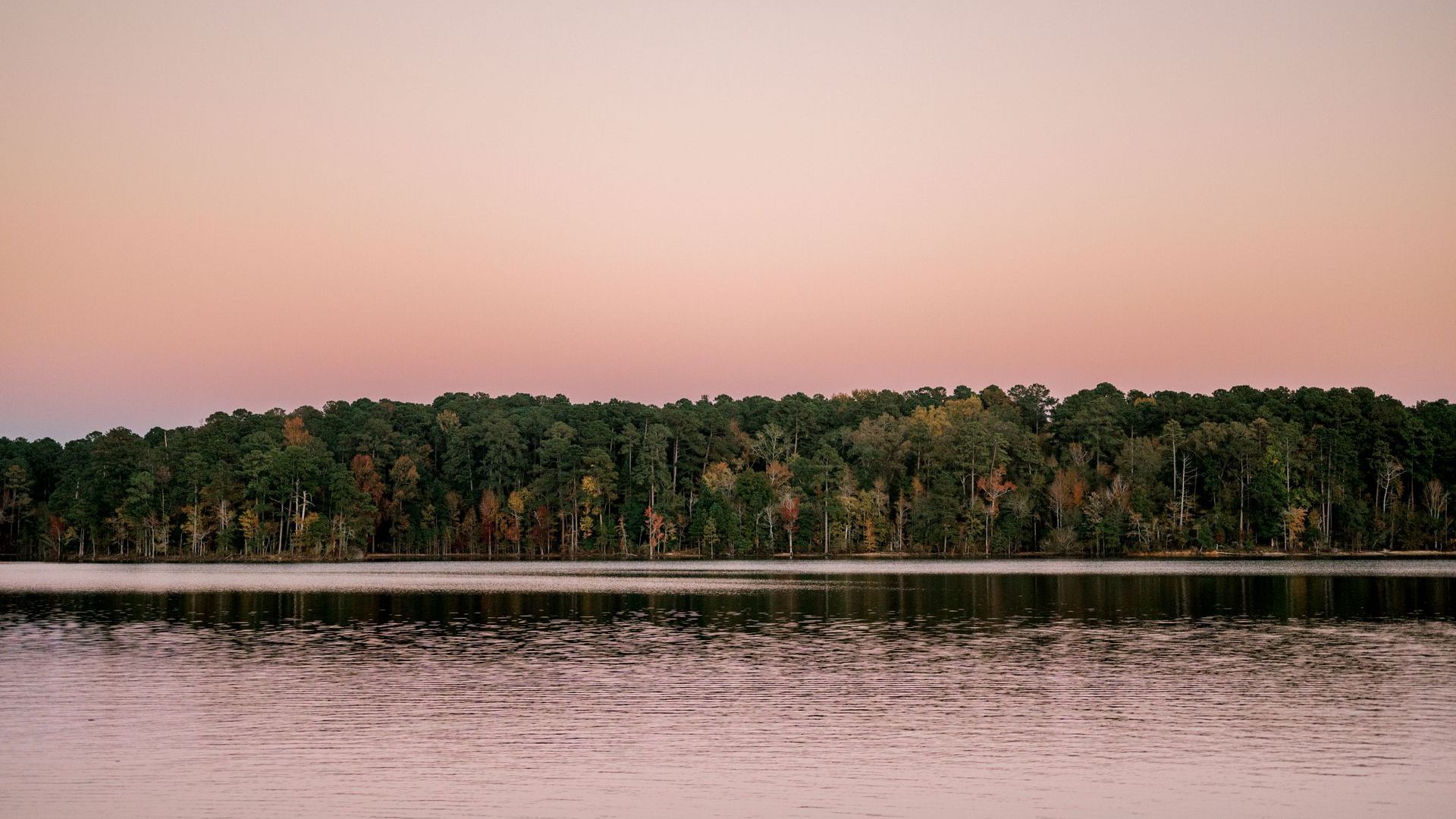 Sunset over a lake with trees. Pink and orange sky reflecting in the still water.