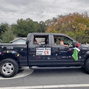 A black truck decorated for christmas is parked on the side of the road.