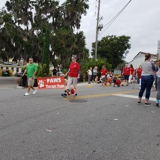 A group of people are walking down a street in a parade.