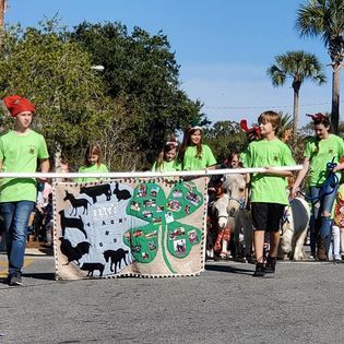 A group of people are marching down a street in a parade.