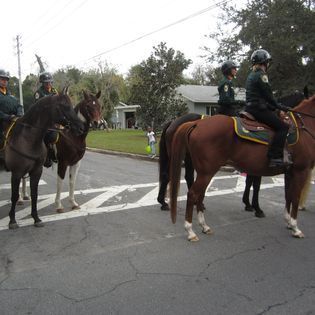 A group of police officers are riding horses down a street