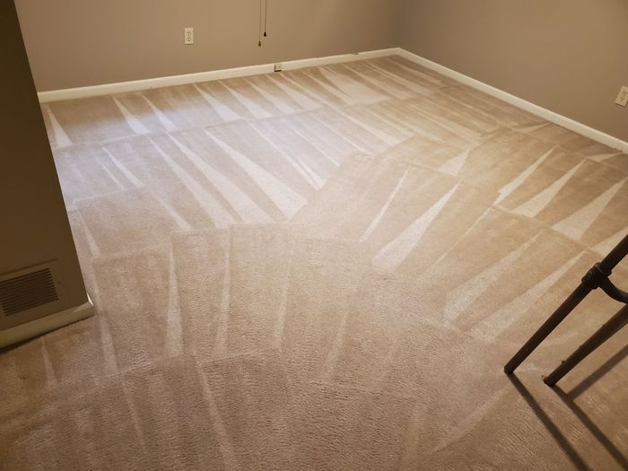A room with a freshly cleaned carpeted floor.