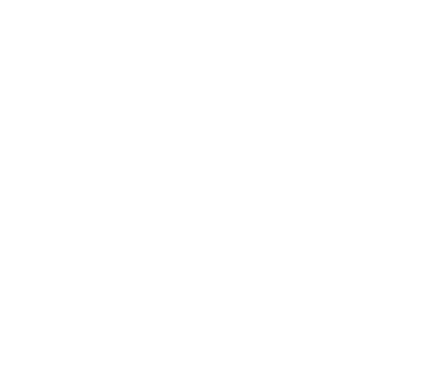 Stupid Courage Productions