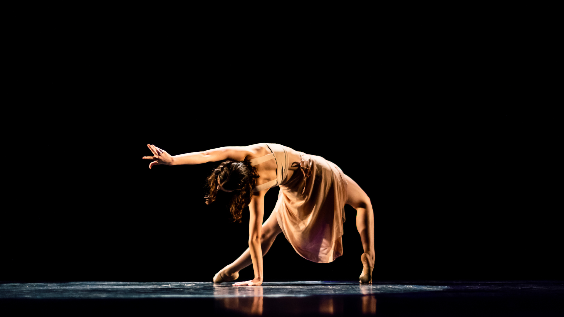 Stupid Courage Productions