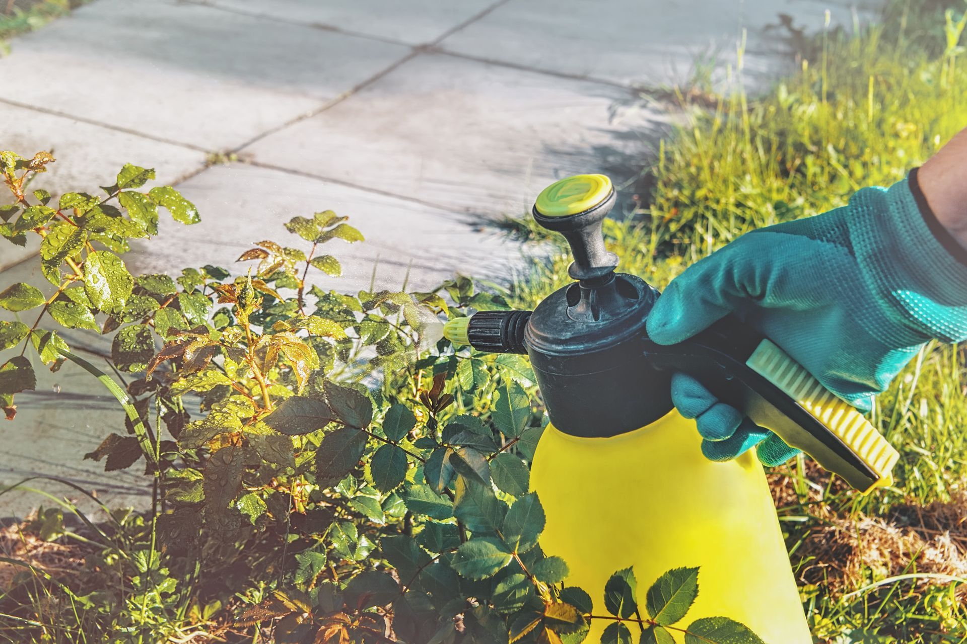 Realizzazione giardini