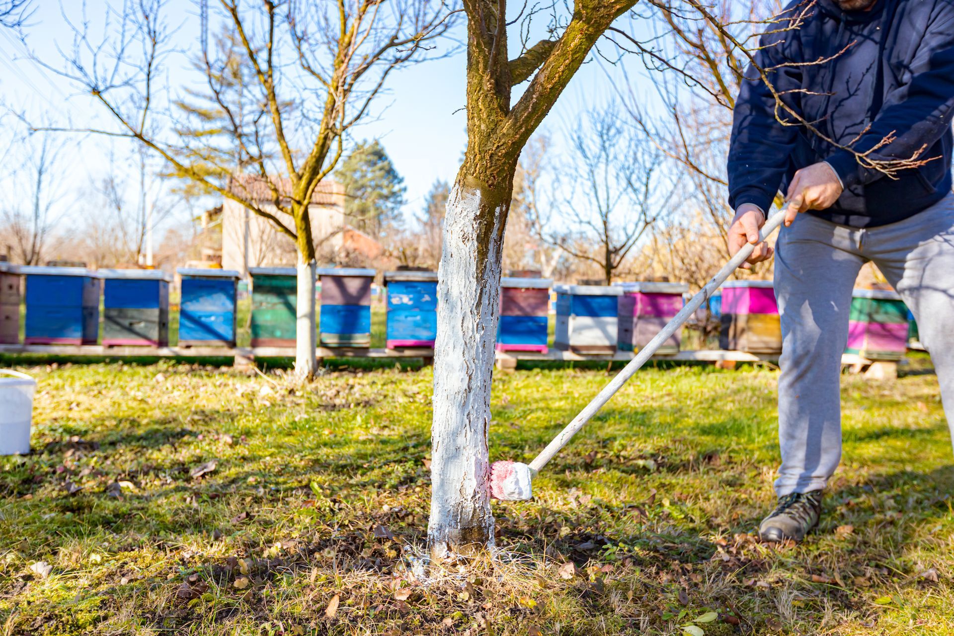 trattamento infestazioni firenze