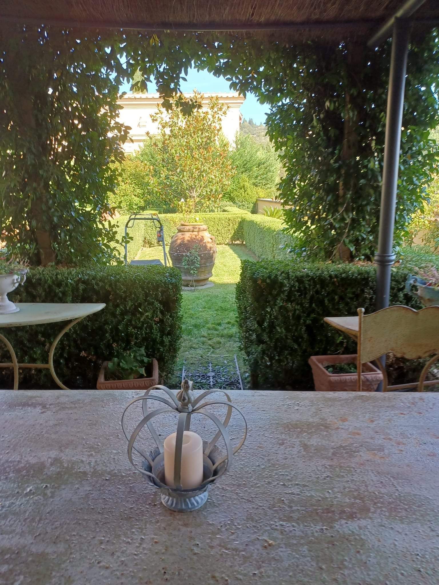 cura del verde in terrazza