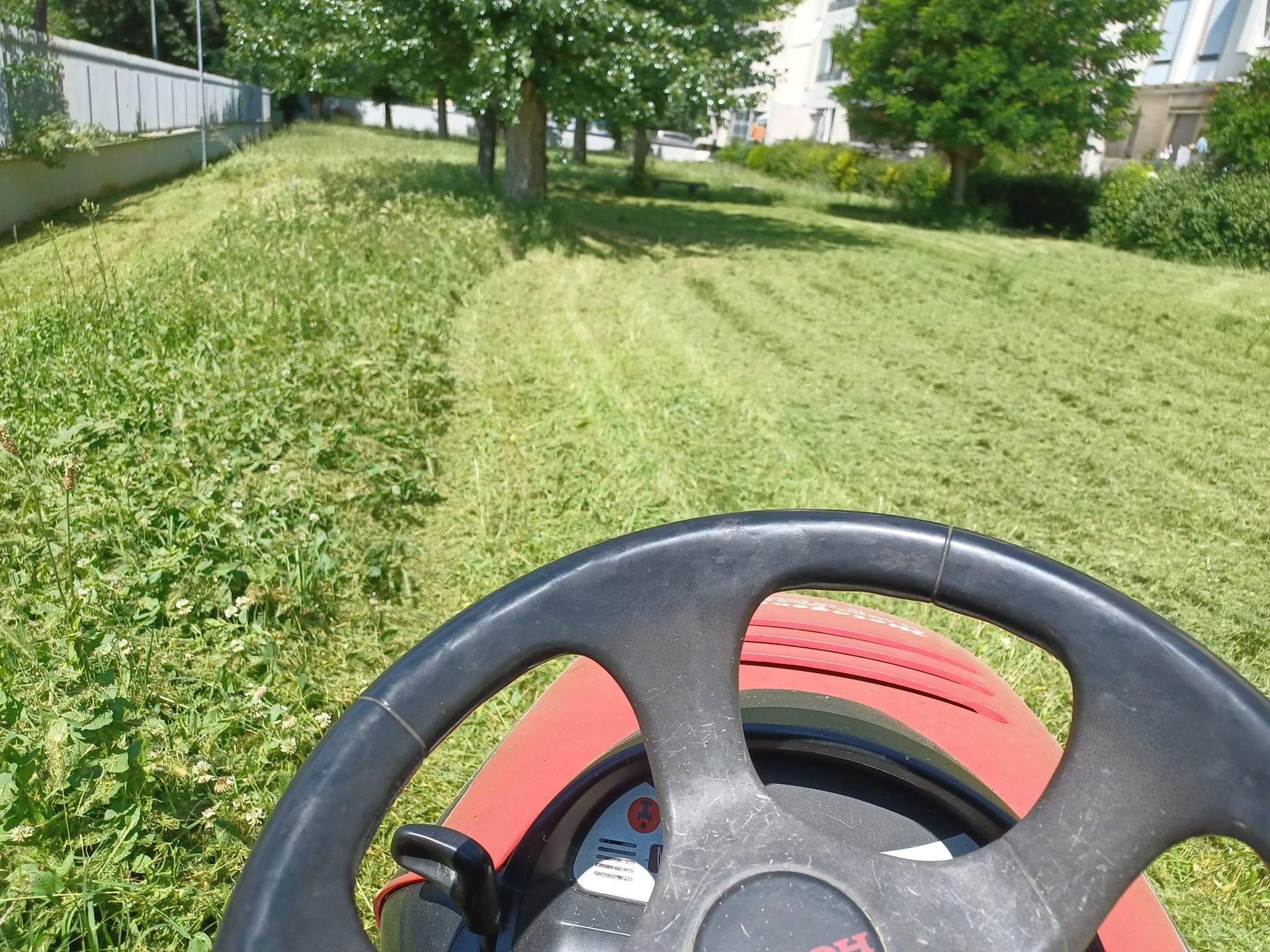 rasatura prato firenze