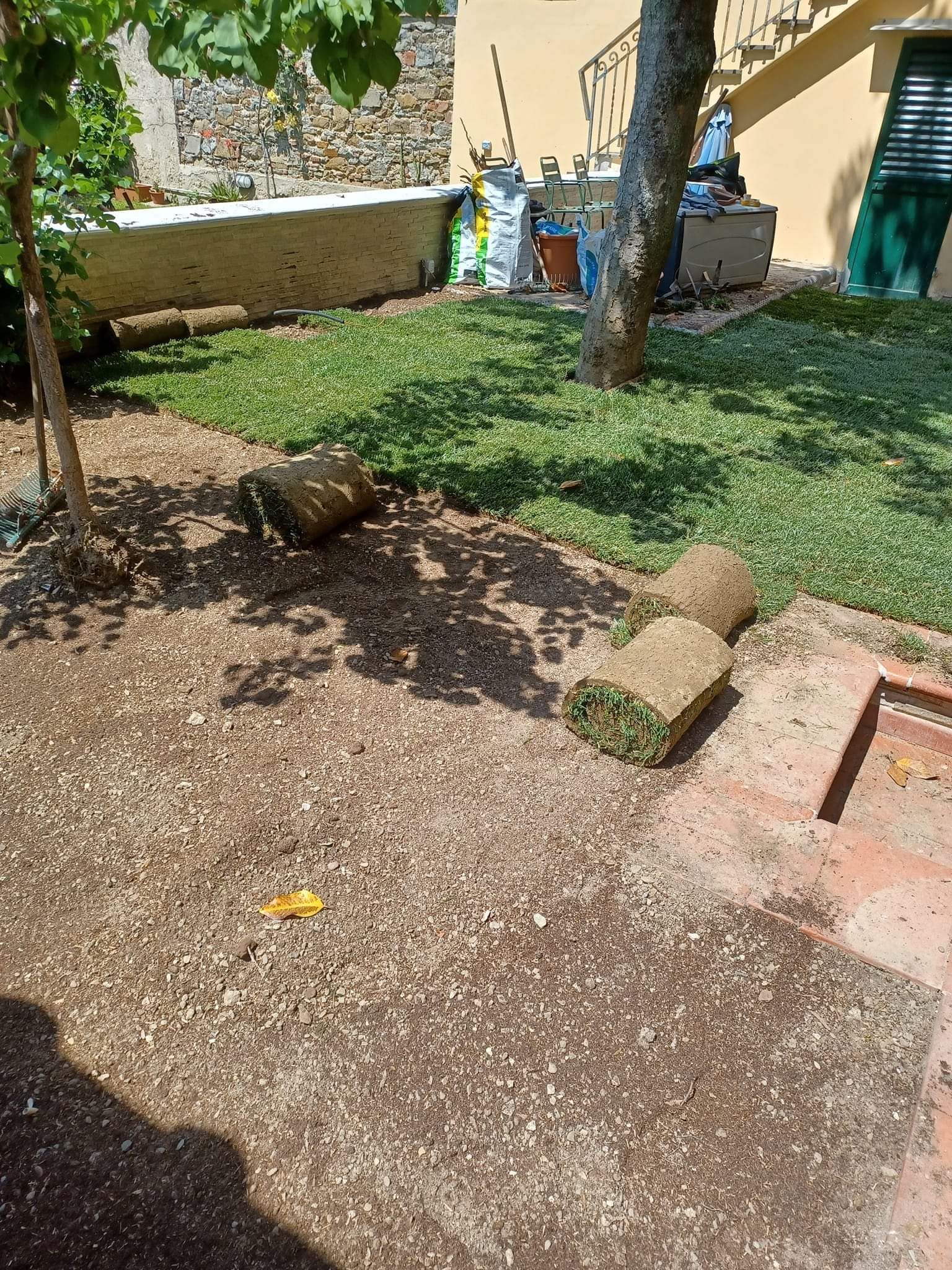 installazione e cura prati in rotolo firenze