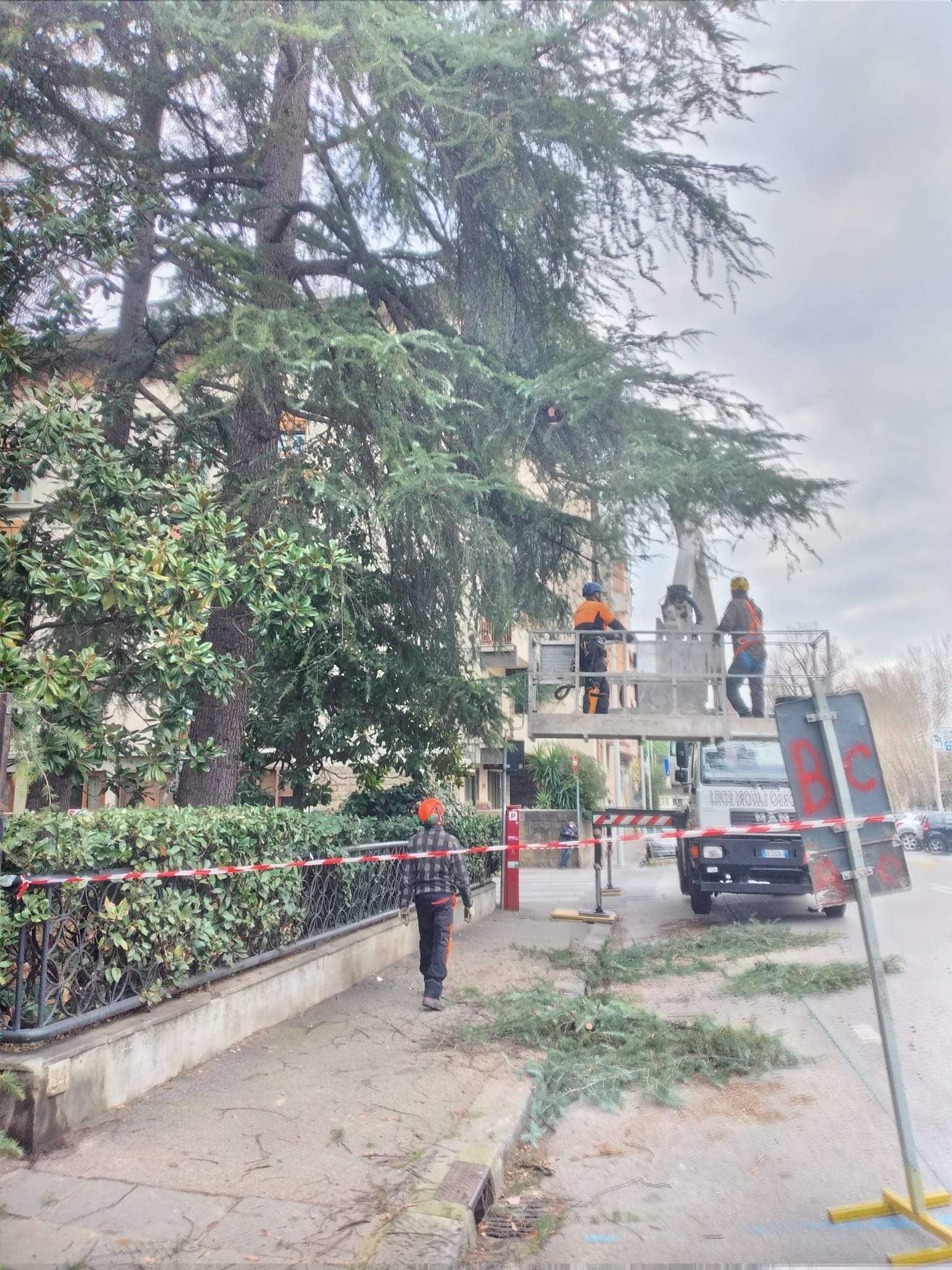 potatura con cestello