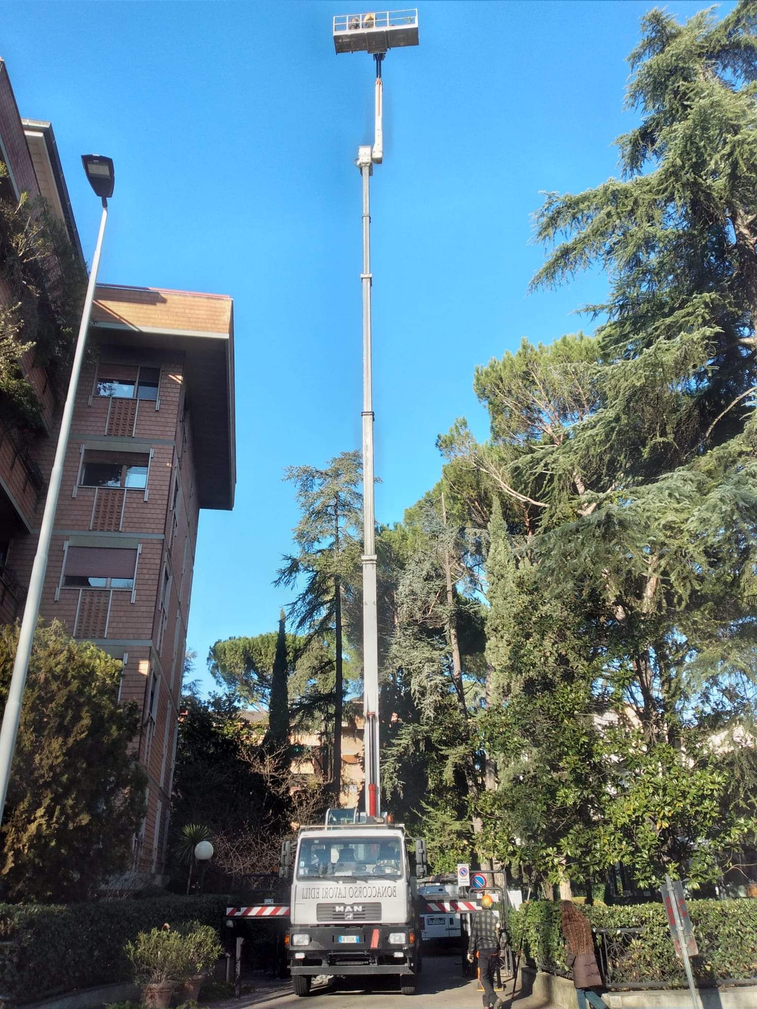 cestello per potature alte firenze