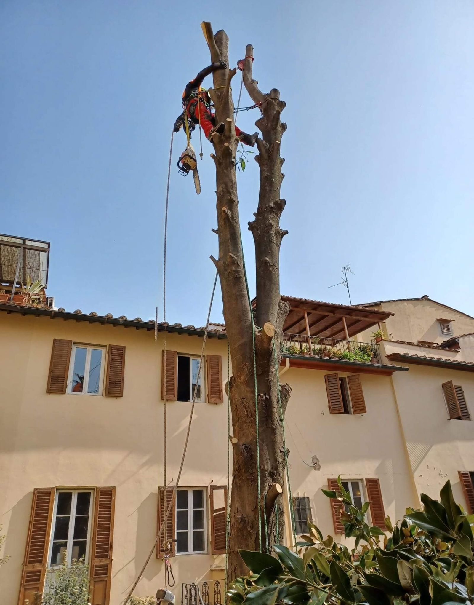 Realizzazione giardini