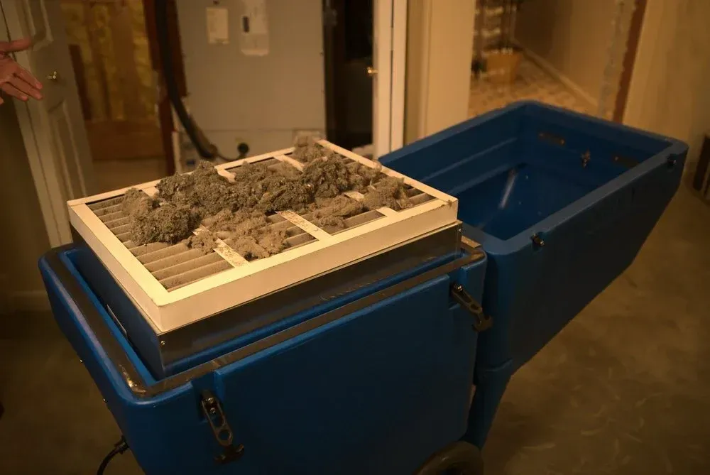 Blue machine with filter tray holding gray debris; indoors.