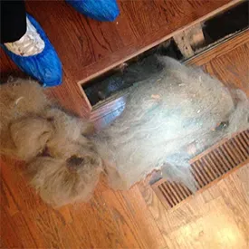 Large clump of pet hair next to a floor vent. Blue booties and wooden floor.