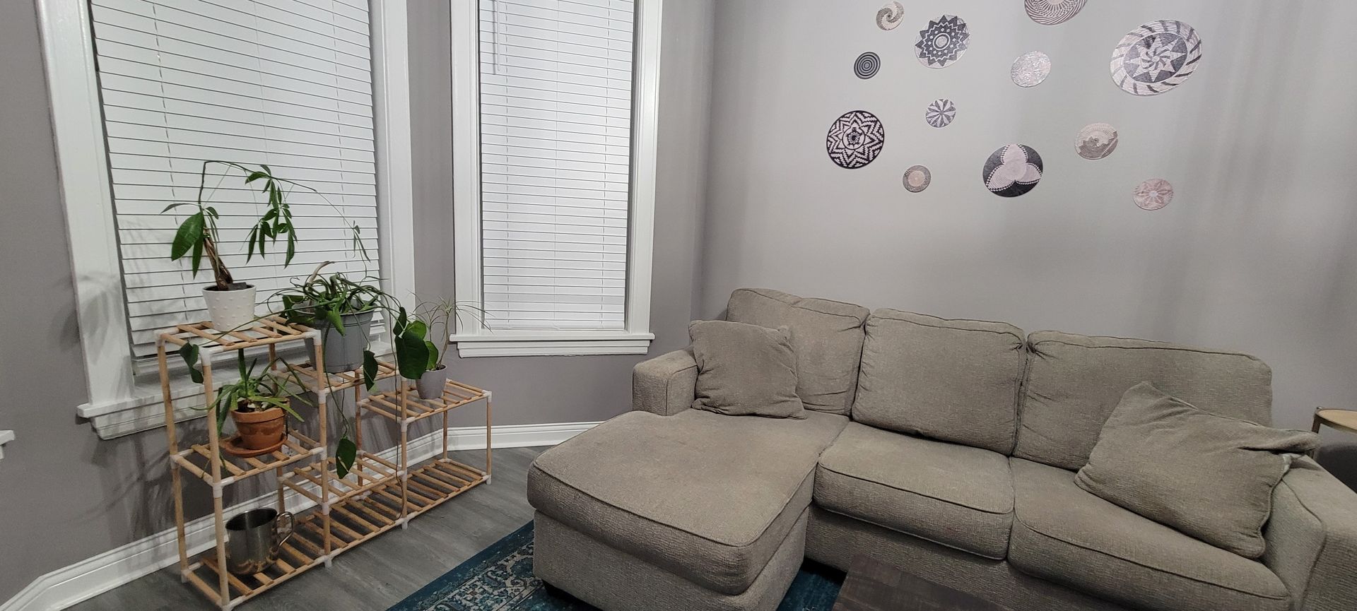 A living room with a couch , ottoman , and potted plants.