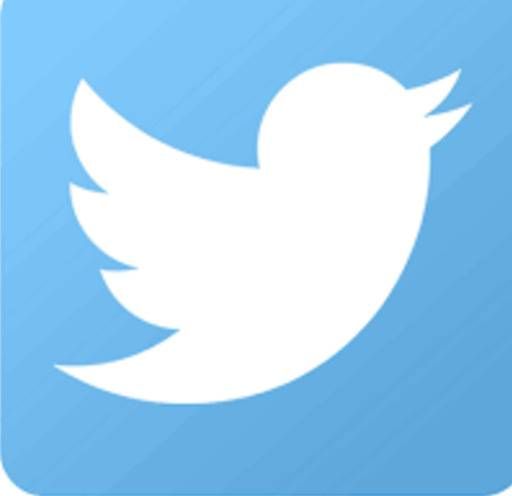 A twitter logo 