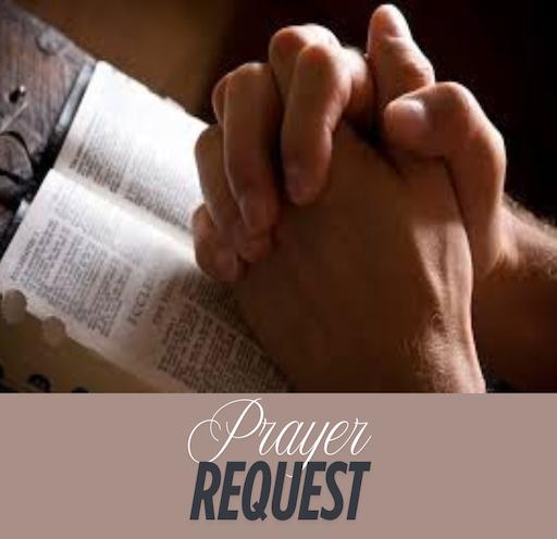 A person is praying with their hands folded over a bible