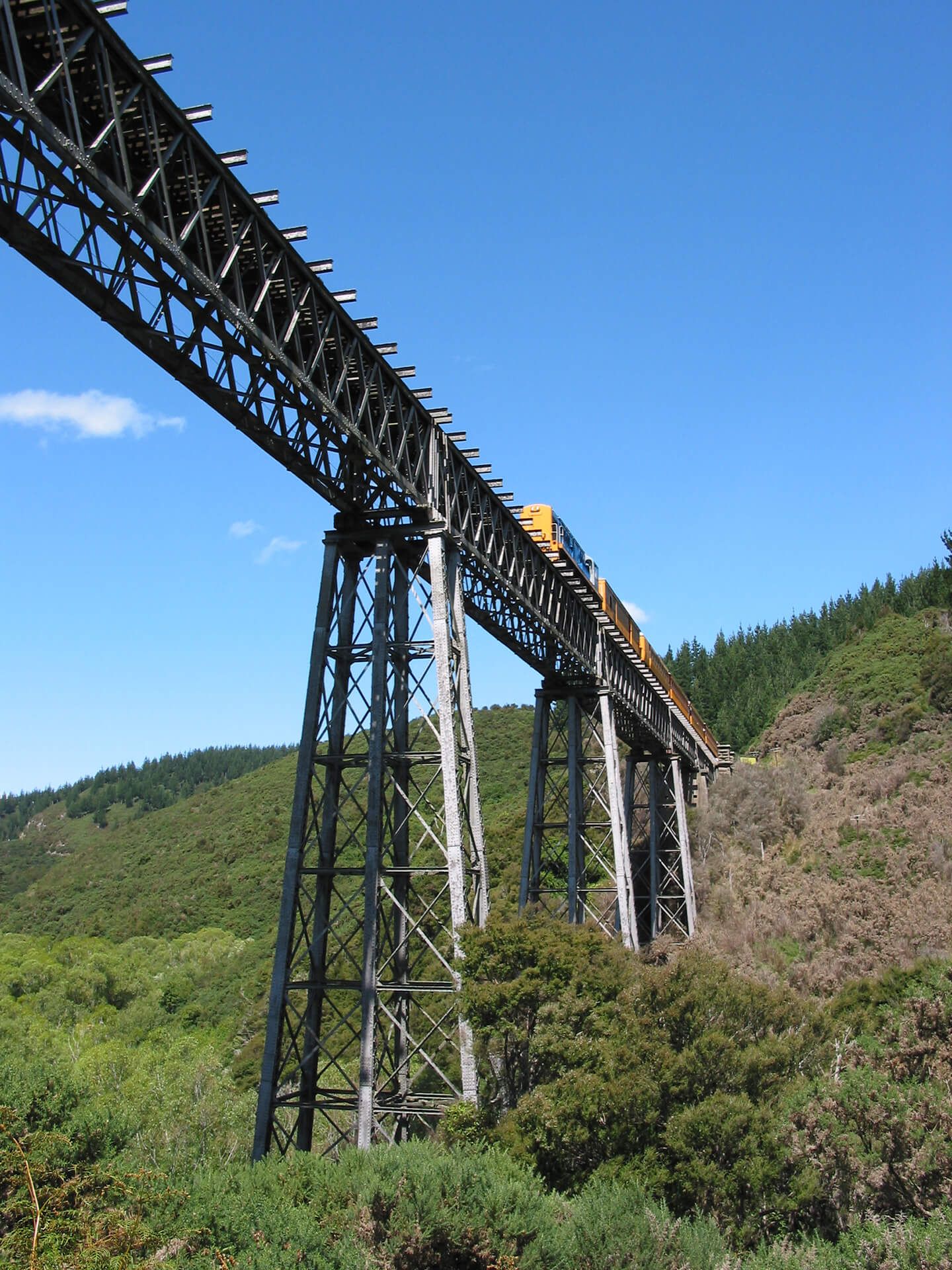 train tour dunedin