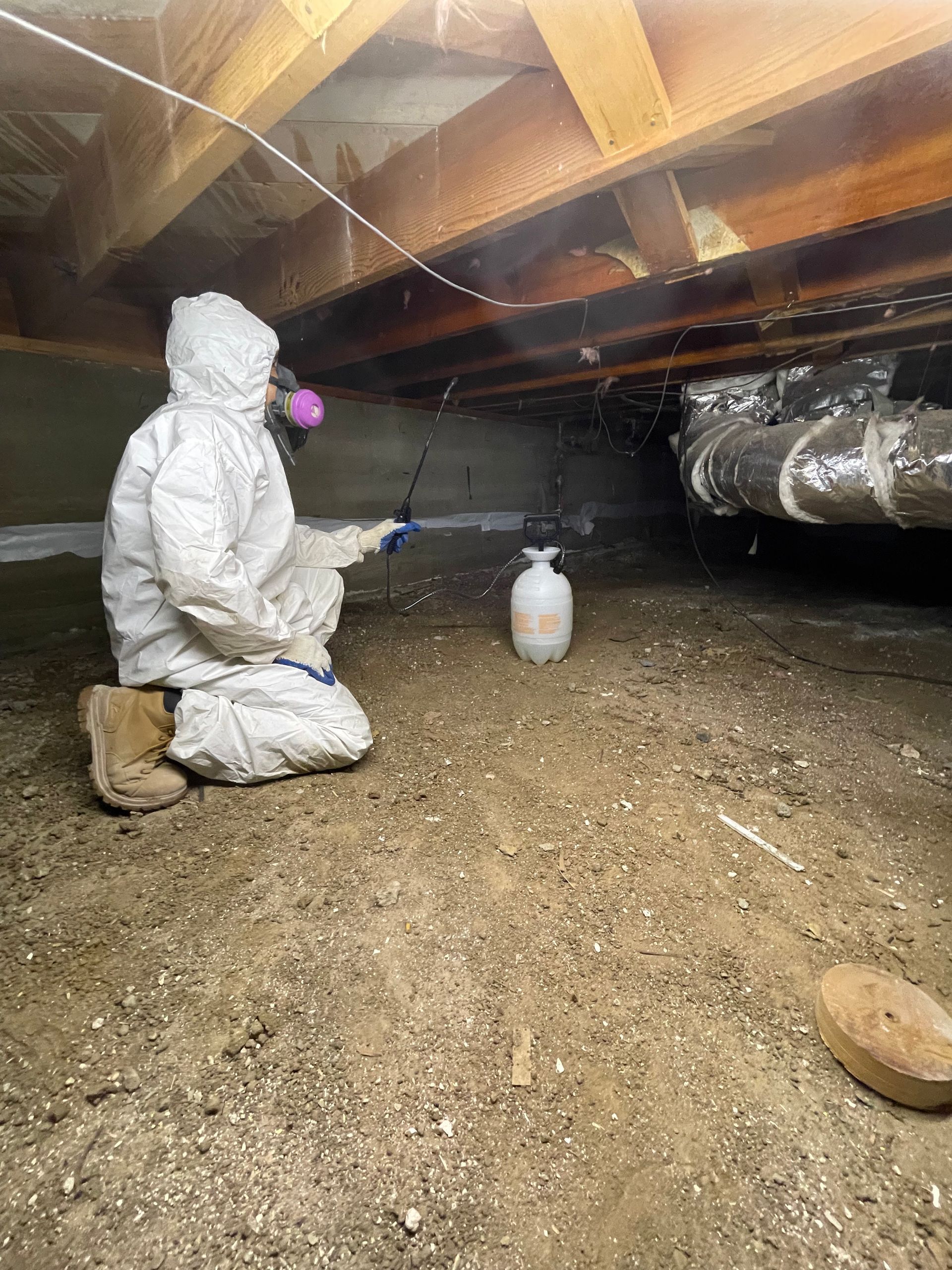 Worker in white protective suit spraying treatment in a crawlspace under a house
