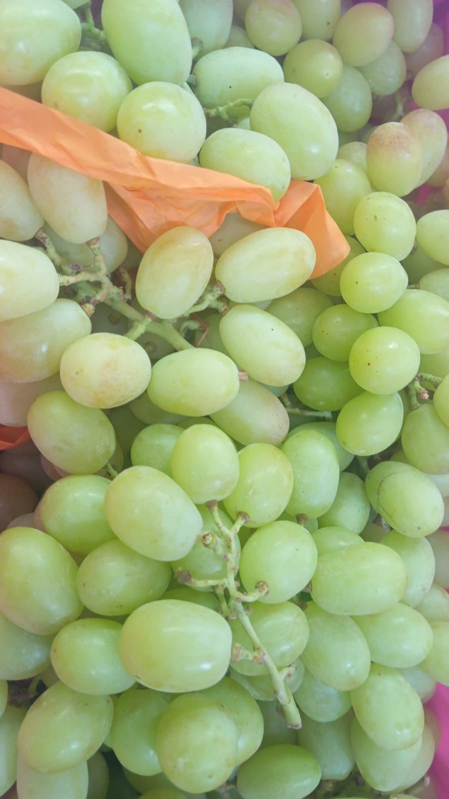 uvas verdes