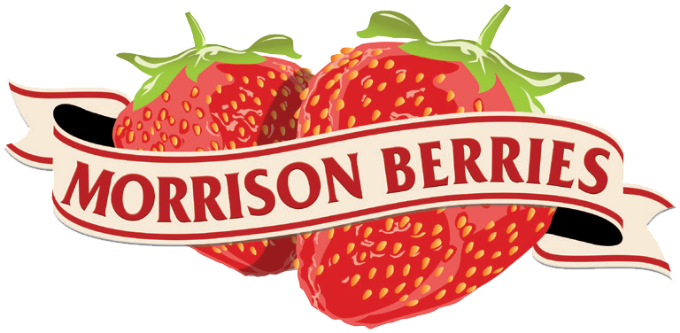 a logo for morrison berries with two strawberries and a ribbon
