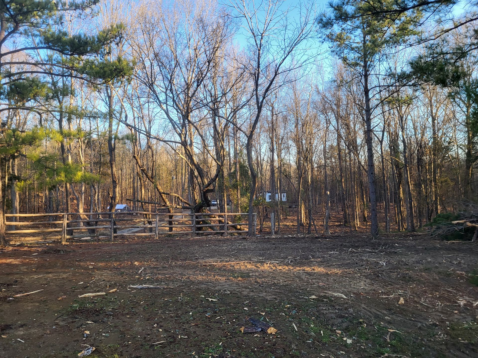 There is a fence in the middle of the woods.