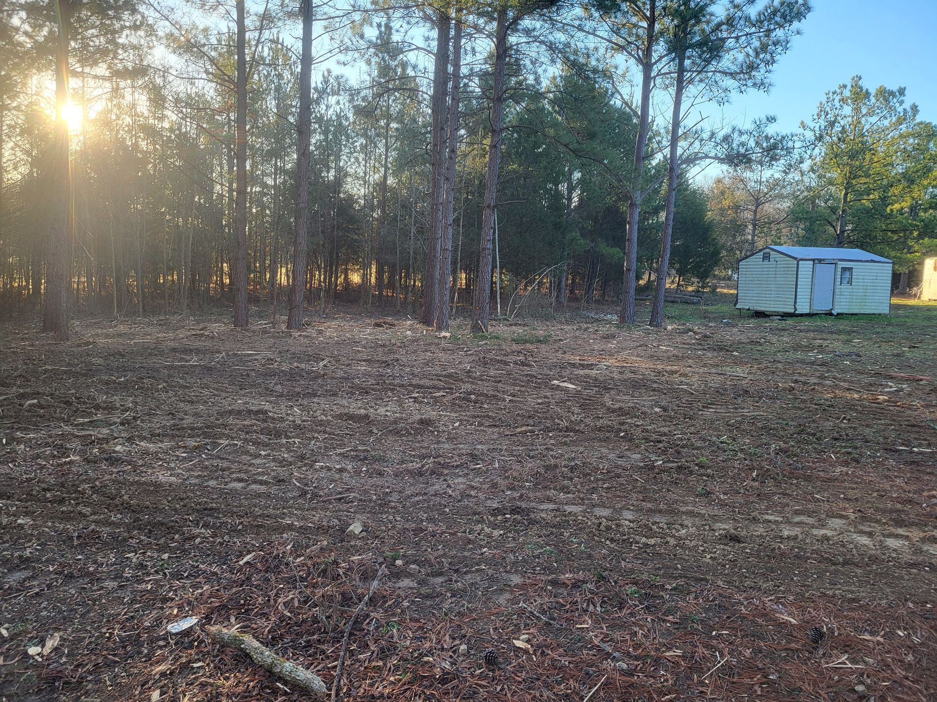 A shed is sitting in the middle of a field surrounded by trees.