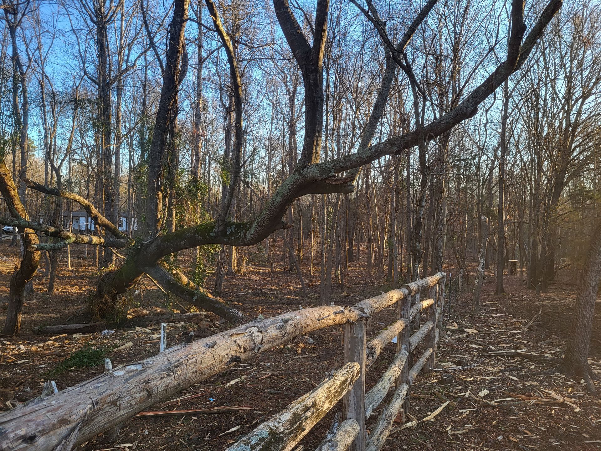 A wooden fence in the middle of a forest with trees without leaves.