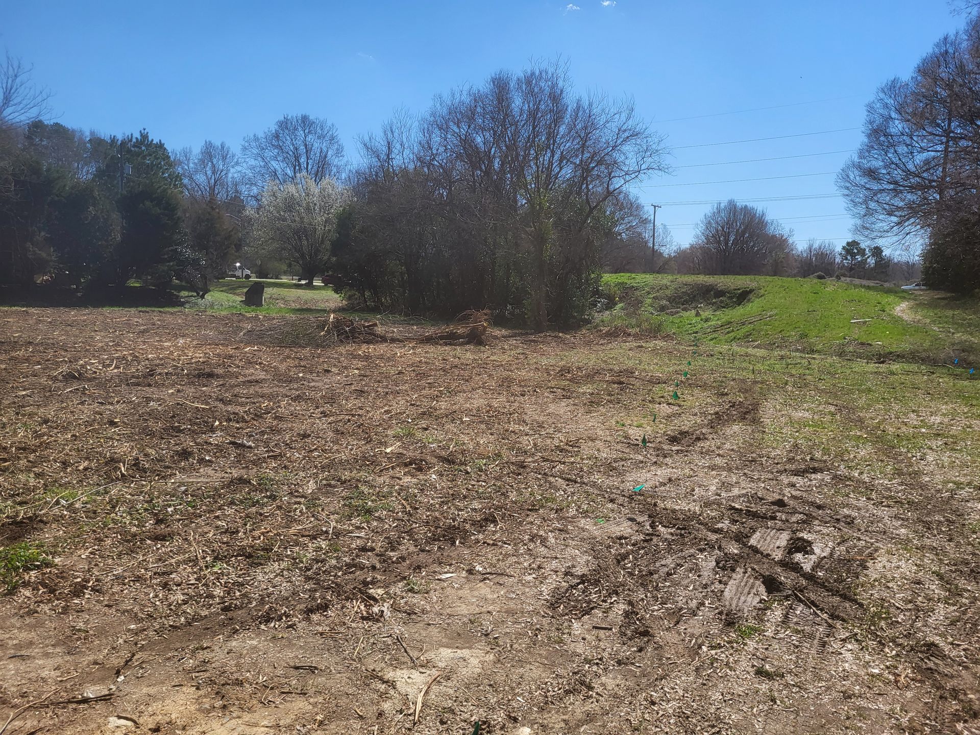 A dirt field with trees in the background on a sunny day
