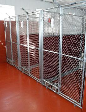 Private kennels in Iron Ridge, WI