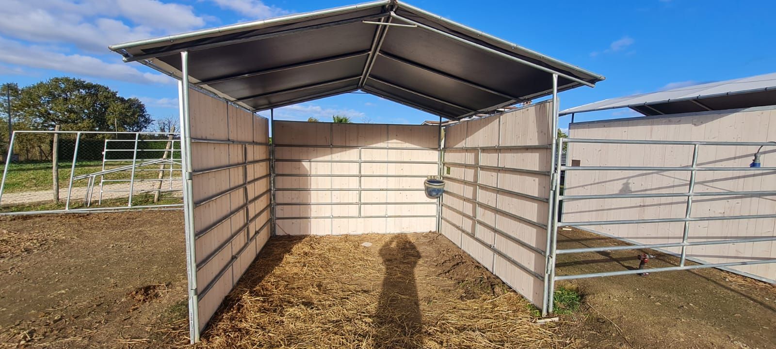 Fence e box per equini