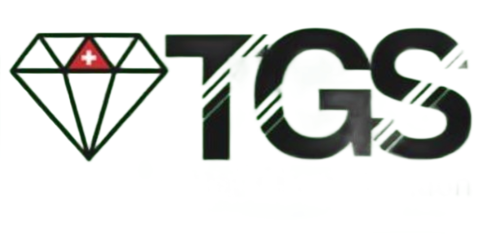 Une icône en forme de losange contenant le symbole du drapeau suisse à côté des lettres « TGS »
